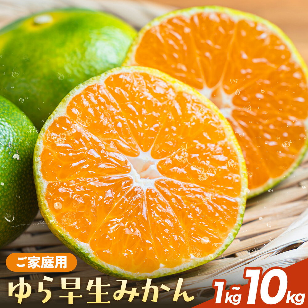 【ふるさと納税】【先行予約】ご家庭用 ゆら早生みかん 選べる 1kg 3kg 5kg 10kg 有田マルシェ《2026年10月上旬-11月上旬頃出荷予定》 和歌山県 日高町 みかん 柑橘 フルーツ 送料無料 蜜柑 ミカン 訳あり 早生みかん