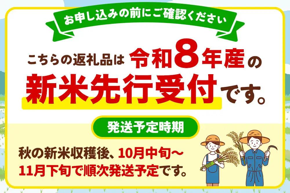 ＜令和8年産 新米予約＞【白米】あきたこまち 5kg
