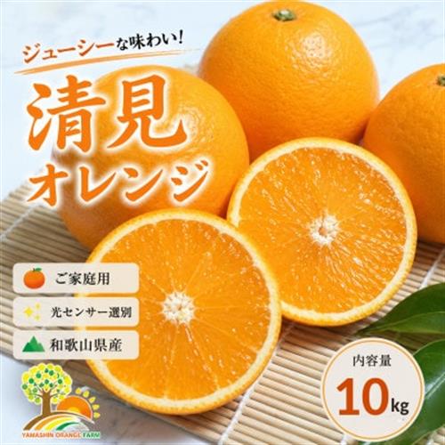清見オレンジ みずみずしい果汁 約10kg (SS～2L混合サイズ) (nuk011-r-10)【1755422】
