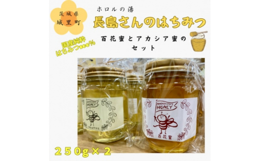 
長島さんのはちみつ 百花蜜とアカシア蜜　各250g【1409651】
