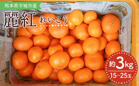 【先行予約】 みかん 麗紅 れいこう 約3kg（15～25玉）　【2027年2月中旬-2027年4月中旬発送】