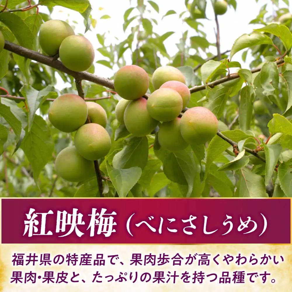 うめグラッセ セミドライ 16粒入 紅映梅使用 / 梅 ウメ 甘酸っぱい 梅スイーツ 小浜市 / アップ・トゥ・ユウ[BFAU006]