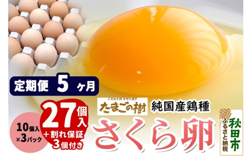 《定期便5ヶ月》 たまごの樹 純国産鶏種 卵『さくら』27個+割れ保証3個付き（10個入×3パック） [たまご タマゴ 玉子 鶏卵 まとめ買い オムレツ 卵かけご飯 朝食 料理 美味しい 瀧田養鶏場]