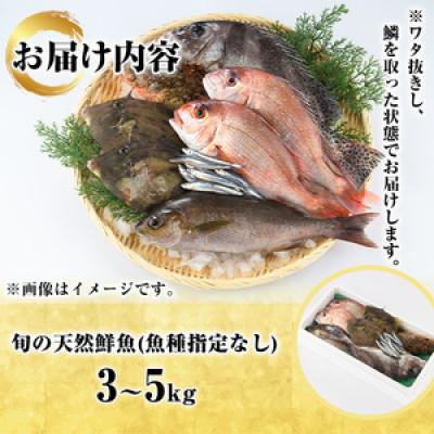 ふるさと納税 阿久根市 旬の天然鮮魚BOX(3〜5kg)　さるがく水産　a-20-29 |  | 03