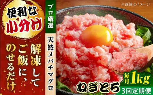 【全3回定期便】まぐろ ねぎとろ 約1kg（約250g×4パック） 鮪 マグロ 魚 ネギトロ 横須賀【横須賀商工会議所 おもてなしギフト事務局（本まぐろ直売所）】 [AKAK035]