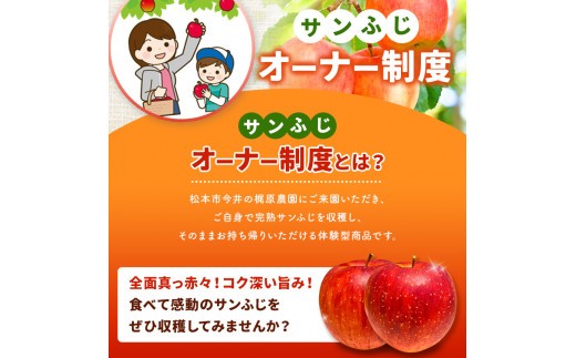 紅葉も空気もきれいな信州で　リンゴの収穫をお楽しみください。