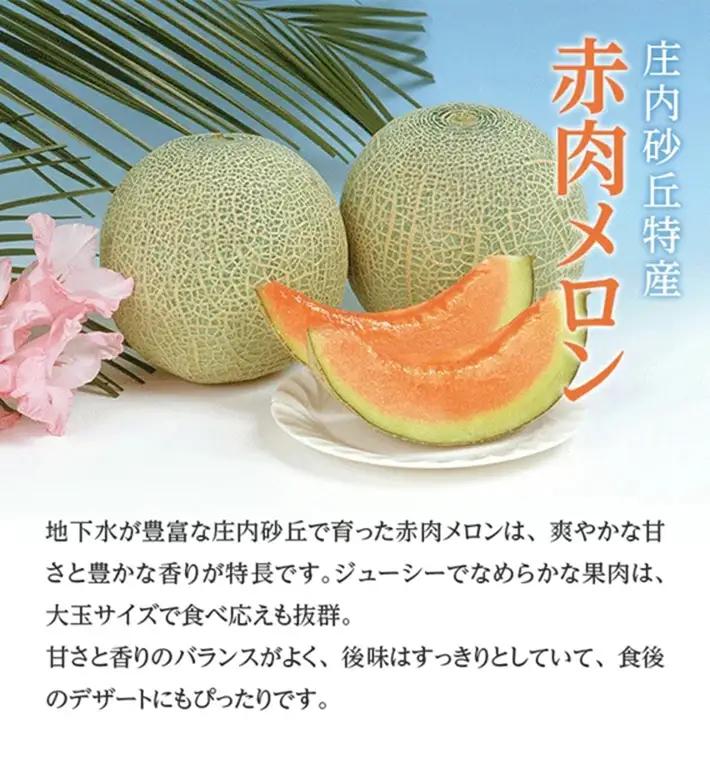 SB0925　メロン食べ比べ『品種おまかせ(青肉・赤肉)メロン 』　約5kg 計4玉(各2玉入)