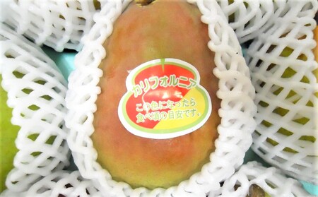 西洋梨（カリフォルニア）３ｋｇ　ご家庭用　0017-2614