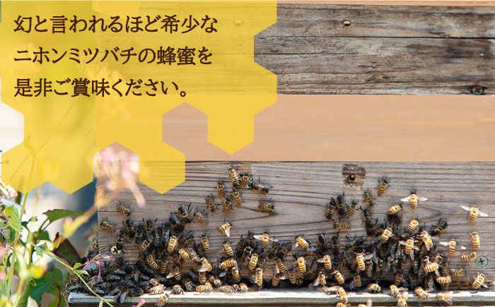 ニホンミツバチ 生蜂蜜 1,200g×1 《壱岐市》【憲ちゃんハチミツ】[JCL003] ハチミツ 蜂蜜 日本蜜蜂 58000 58000円