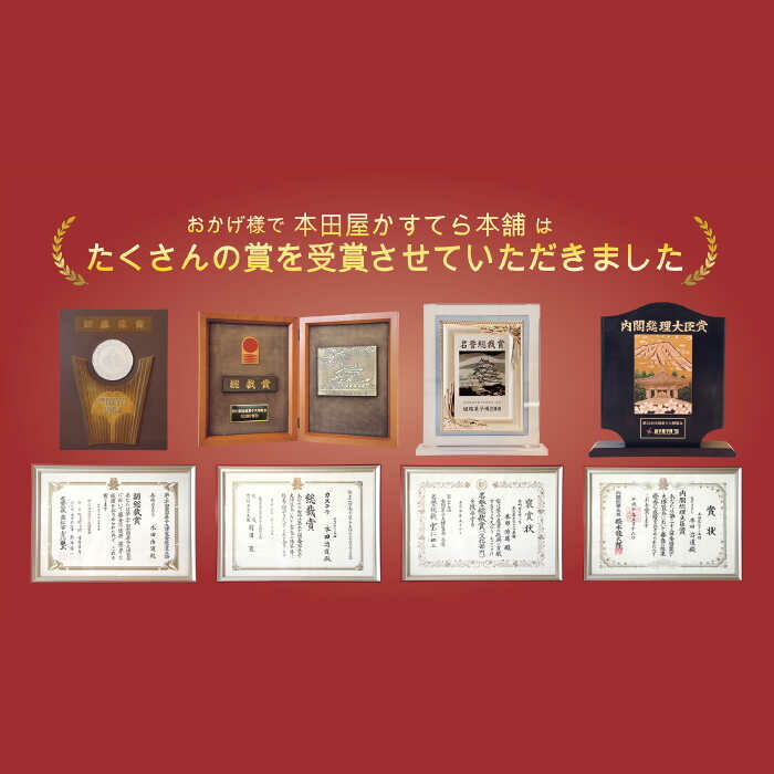 【3回 定期便 】特製 長崎 カステラ 3斤（約700g×3本） / 南島原市 / 本田屋かすてら本舗 [SAW016]_イメージ5