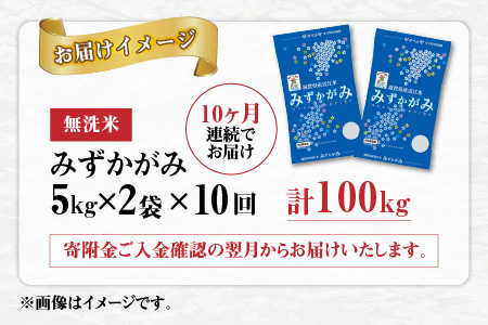 【令和5年産】【定期便】【10ヶ月連続お届け】 BG無洗米 みずかがみ 計100kg（10kg × 10回）