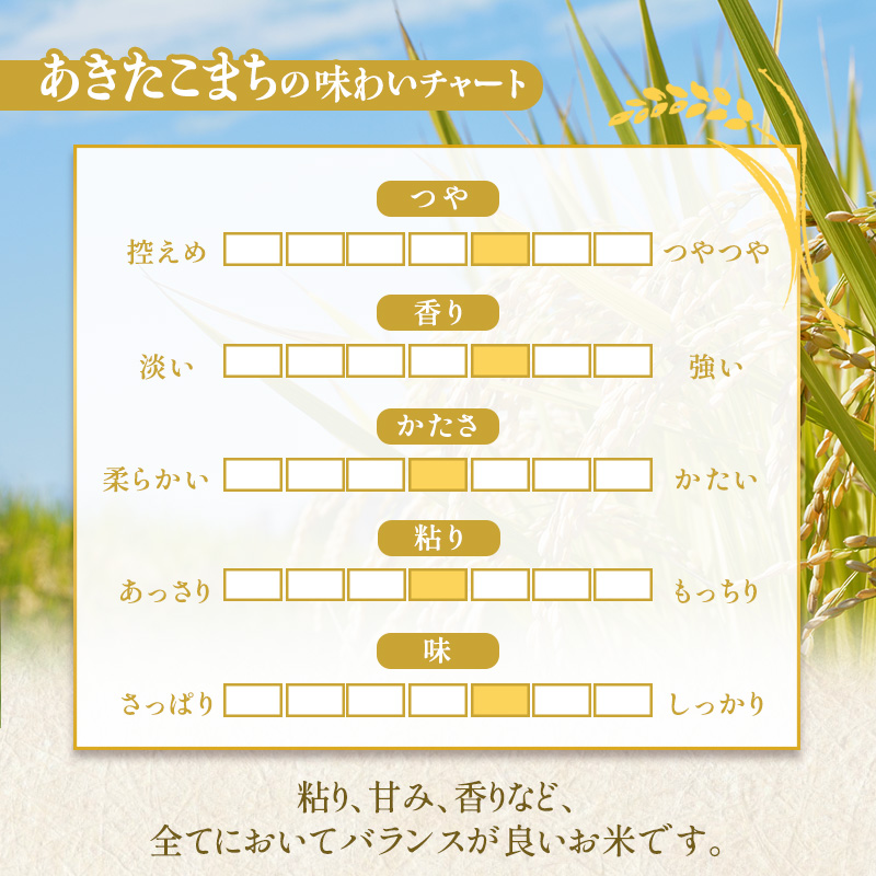 【9か月定期便】盛岡市産あきたこまち【無洗米】10kg×9か月