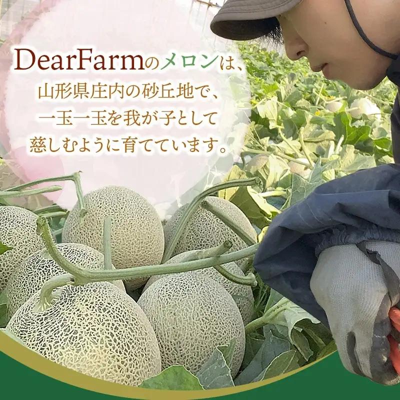 【令和8年産先行予約】　DearFarm砂丘からの贈物　＜珠玉アンデスメロン＞　約5kg（3～5玉）山形県鶴岡市　K-836　| メロン めろん アンデスメロン 5キロ 山形 鶴岡 庄内 庄内産 東北