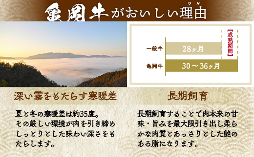 希少 京都産ブランド黒毛和牛 亀岡牛 リブロース ステーキ 600g (200g×3枚) ≪牛肉 国産 京都丹波 和牛 冷凍 送料無料 ふるさと納税 牛肉≫
