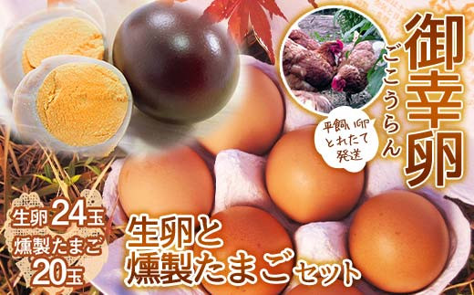 平飼い卵 とれたて発送「御幸卵」の生卵と燻製たまごセット（生卵24玉、燻製たまご20玉入り） 伊達市 福島県 国産 養鶏場直送 卵 たまご 玉子 生卵 鶏卵 燻製たまご   ゆで卵 F20C-759