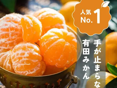 手が止まらない 訳あり 有田みかん 約3kg 大きさ無選別（2S〜3L） 糖度11度以上 鳴川農園