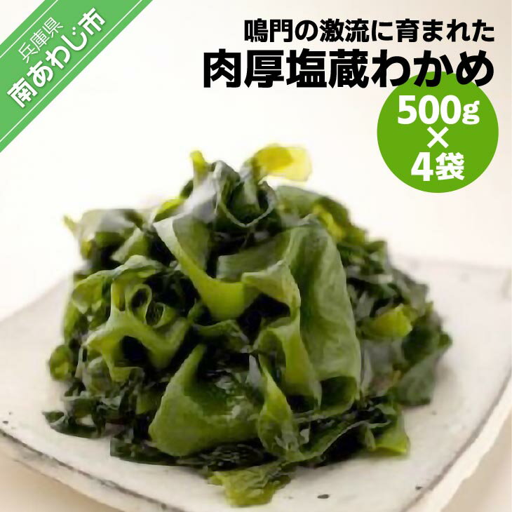【ふるさと納税】【山田海産物】肉厚塩蔵わかめ500g×4袋入り