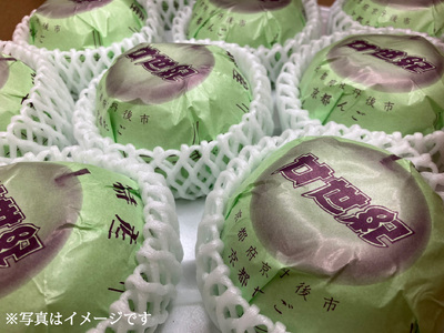 【先行予約】 2026年度産 京都府産 二十世紀梨 約3kg (7玉～10玉入り) 梨 20世紀梨 なし ナシ フルーツ 果物 くだもの 秋 旬 京都 京丹後産 直送 