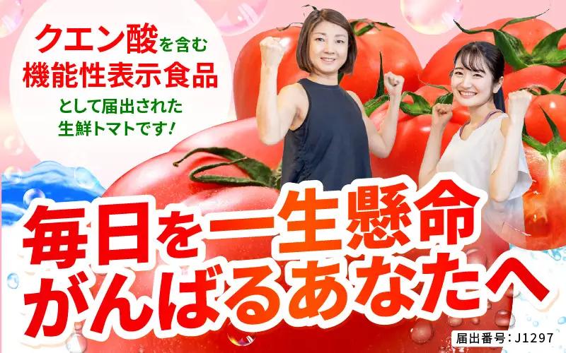 みつぼしトマト クエン酸 約400g × 2袋 (計800g) とまと 機能性表示食品 野菜 [A-2617]