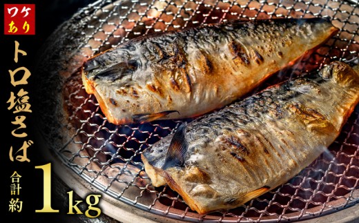 訳あり トロ 塩サバ フィレ 約1kg 鯖 さば 訳アリ わけあり 切り身 切身 塩さば 塩鯖 フィレ フィーレ 魚貝 魚介 人気 冷凍 冷凍食品 大容量 海鮮 家庭用 レシピ おかず おつまみ 惣菜 弁当 不揃い 規格外 傷 味噌煮 煮付け 竜田揚げ 南蛮漬け グルメ 贈答 贈物 ギフト 長期保存 小分け 炊き込み お取り寄せ ふるさと納税 ふるさと納税鯖 送料無料 千葉県 銚子市 飯田商店