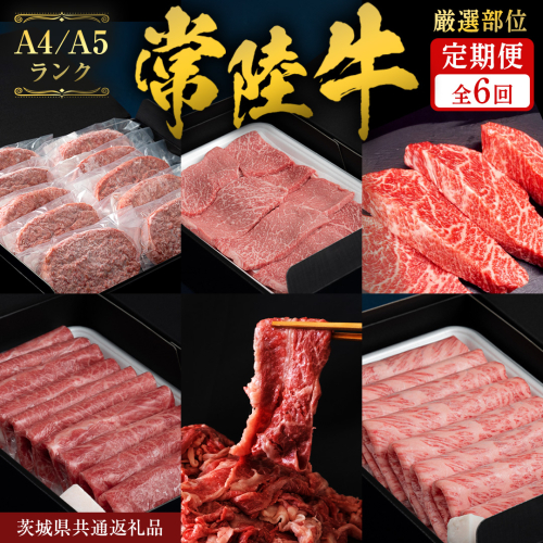 《 5月発送開始 》 定期便 全6回 常陸牛 厳選部位 食べ比べ ( 霜降りスライス 800g / 切り落とし 1kg / 赤身スライス 900g / ハンバーグ/ 赤身焼肉用 500g / イチボ 500g ) [CD139sa]