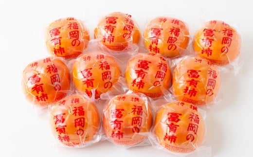 【先行予約】やまんどん 冷蔵富有柿 2Lサイズ 10玉前後 2025年12月中旬から12月下旬 出荷予定