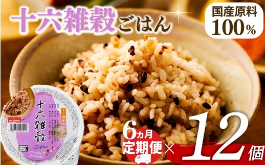 定期便 6回 十六雑穀 ごはんパック 160g 12個 パックごはん パックご飯 ごはんパック ご飯パック パックライス パック 16雑穀 雑穀 米 ごはん ご飯 こめ ライス 備蓄 保存 防災 レンジ 調理 簡単 レンチン 温めるだけ 栄養 ヘルシー 国産 12 12食 レトルト インスタント おいしい 人気 おすすめ おくさま印 大阪 松原