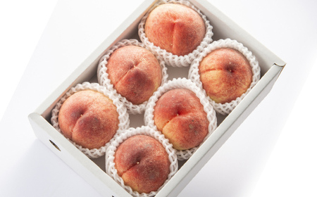 【2026年度 先行予約】涼風フルーツ定期便 全4回 さくらんぼ メロン 桃 シャインマスカット 果物 フルーツ FSY-2069