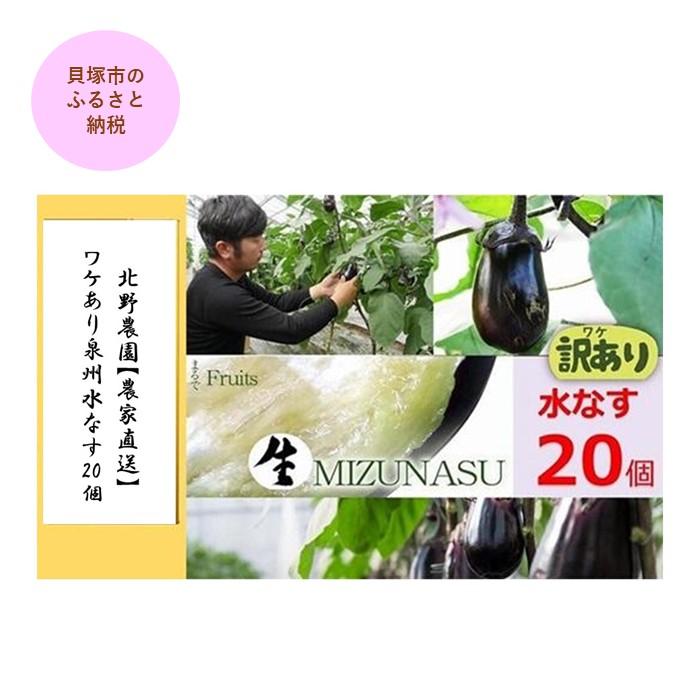【ふるさと納税】北野農園【農家直送】ワケあり泉州水なす20個 /訳あり 家庭用 不揃い 規格外 生なす 泉州水なす 水なす 泉州水ナス 水ナス 茄子 | 訳あり 家庭用 不揃い 規格外 生なす 予約品 泉州水なす 水なす 泉州水ナス 水ナス 那子