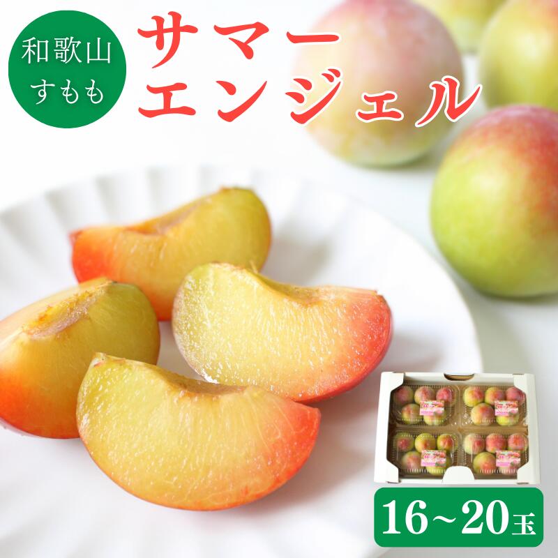 【ふるさと納税】 ＜先行予約＞すもも（サマーエンジェル）4パック ※2026年6月下旬～7月上旬頃に順次発送予定【期間限定・数量限定】 / スモモ プラム 冷蔵 季節限定 お取り寄せ 産地直送 贈答品 ギフト 果物 フルーツ 田辺市 和歌山県