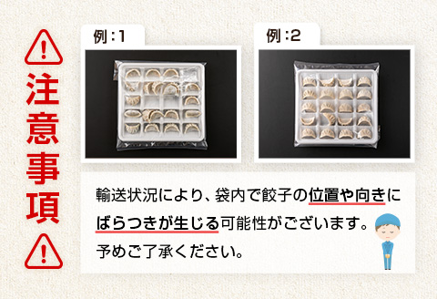 ◇＜定期便・全4回＞「一口餃子の大明神」一口餃子セット 2箱（120個入り） 毎月お届け