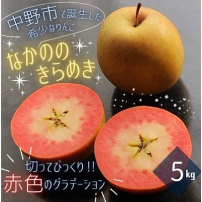 
                  ＜希少赤い果肉!数量限定＞なかののきらめき家庭用5kg(16玉～20玉)【1494785】
                