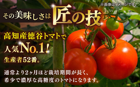 【先行予約】特選 徳谷トマト 約2kg 生産者52番 〈2027年1月中旬～2027年6月下旬頃発送〉/ トマト フルーツトマト 【フルーツショップオザキ】[ATAH014]