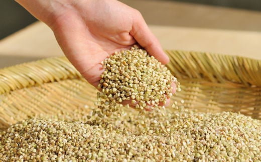 低温保存した蕎麦の実