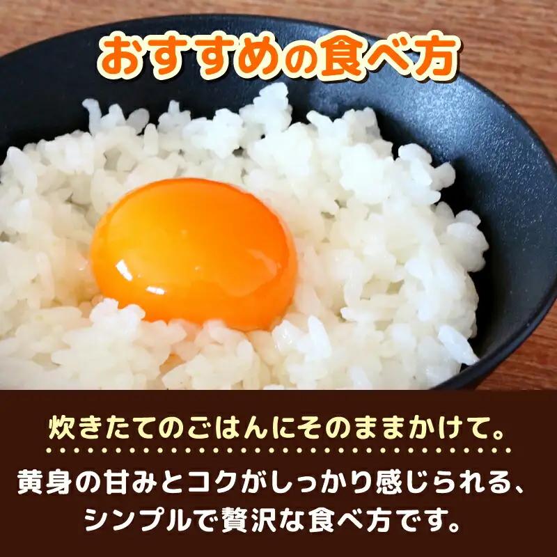 【たまご 3回定期便】土佐ジロー たまご 40個×3