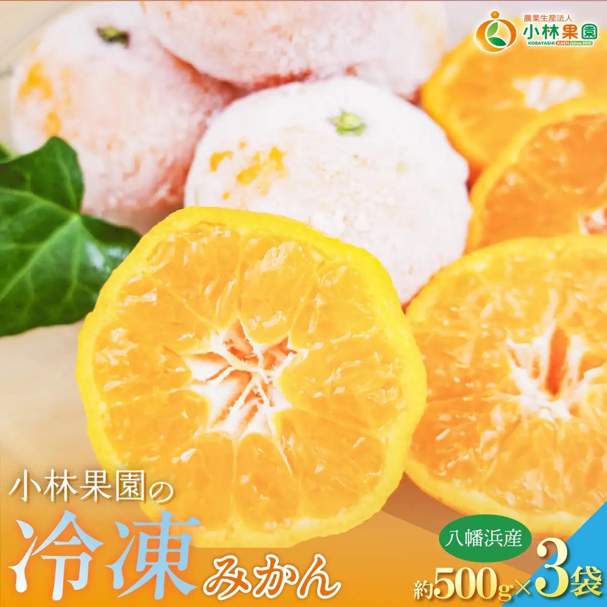 小林果園の冷凍みかん(500g×3袋)【訳あり】【C24-27】【配送不可地域：離島】【1171841】 YWTAD020