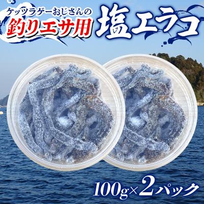 ふるさと納税 山田町 釣り エサ 用 塩 エラコ 100g×2パック