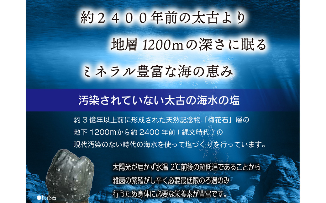 深海の恵み 関門の塩 合計500g (100g×5袋) ミネラル 塩 調味料 塩分濃度86.1％ カルシウム マグネシウム カリウム しお 少量 小分け