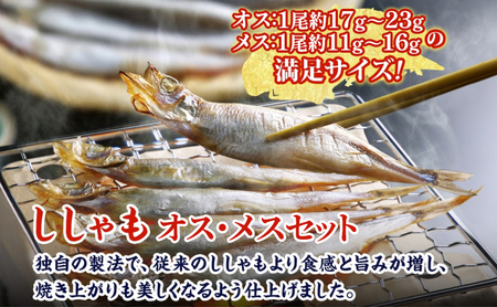ししゃもセット オスメス魚貝類干物北海道産 ししゃもセット【40尾】