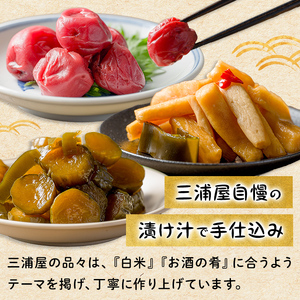 三浦屋の漬物2種セット むげんぱりぱり大根しょうゆ漬け(120g×3袋) 昔ながらのしょっぱい梅干し(160g×1個) 大根漬け だいこん漬け うめぼし 梅 塩 赤しそ 漬物 漬け物 おかず おつまみ