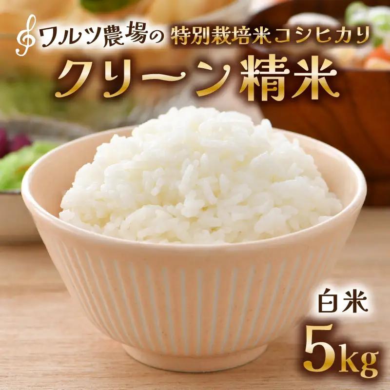 【先行予約】【令和8年産 新米】ワルツ農場のコシヒカリ クリーン精米 5kg 特別栽培米【納得の美味しさ】減農薬 有機肥料使用 / お米 ご飯 白米 発送直前 精米 つや 艶 甘味 旨み 北陸 あわら