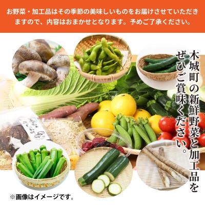 ふるさと納税 木城町 木城町産農産物と加工品セット |  | 01