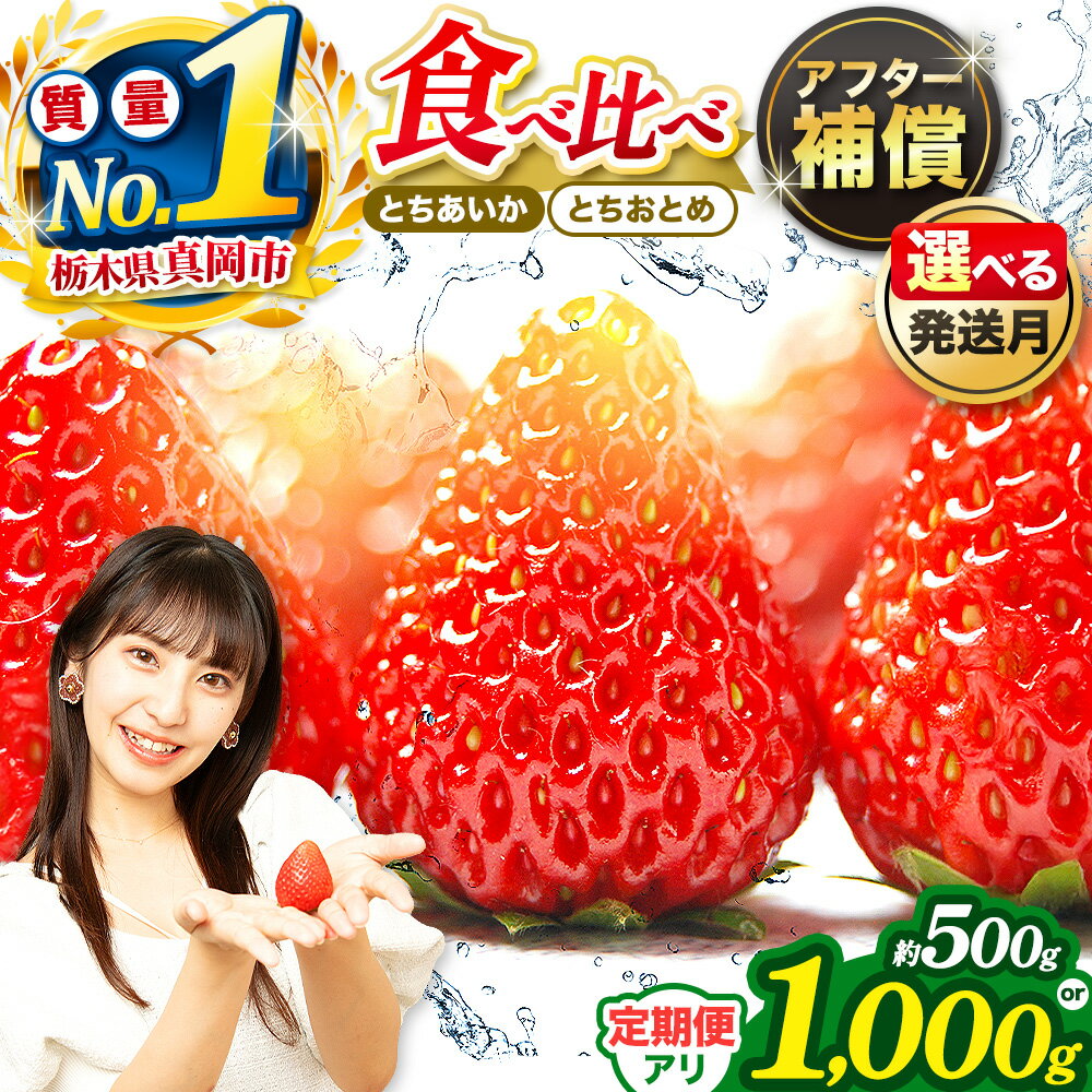 【ふるさと納税】いちご とちあいか とちおとめ 定期便 人気 食べ比べ セット 選べる 500g or 1000g 【2026年 出荷開始】1回 2回｜ 1月 2月 3月 農林水産大臣賞 受賞農家 2品種 栃木県産 真岡市 日本一 苺 イチゴ スイーツ ジャム アレンジ 産地直送 直送