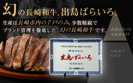 【全6回定期便】【日本一の和牛】長崎和牛 出島ばらいろ 特選霜降 サーロイン ステーキ たっぷり500g（250g×2枚） 【合同会社　肉のマルシン】[RCI012]