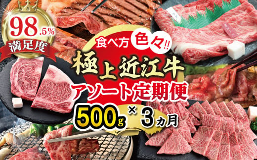 【期間限定】極上近江牛500g　食べ方色々！アソート定期便【ZZ49W】