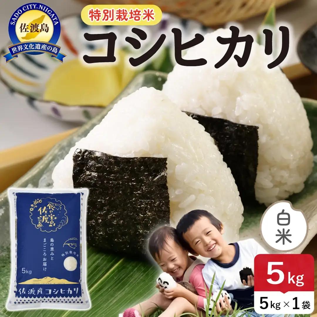 令和8年産 佐渡島産コシヒカリ 白米5kg 特別栽培米 195962-121302