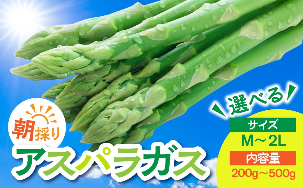
                  数量限定《先行予約》令和8年産 6月下旬～順次発送 米 農家がつくる！ 水にこだわった朝採れアスパラガス サイズ選べる 内容量選べる M 200g / M~L 500g / L~2L 500g 野菜 春野菜 夏野菜 アスパラガス アスパラ 朝採れ 訳あり わけあり 不揃い お米 農家 池本農園 5000円 10000円 1万円
                