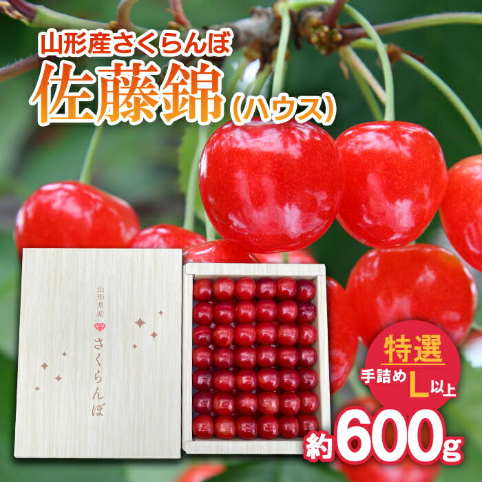 【ふるさと納税】さくらんぼ 佐藤錦 (ハウス) 特選 手詰め L以上 約600g 【令和8年産先行予約】FS25-709 くだもの 果物 フルーツ 山形 山形県 山形市 お取り寄せ 2026年産