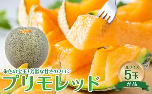 739.【先行予約】【JA】大栄メロン　プリモレッド（赤肉）赤秀3L×5玉 ※着日指定不可 ※離島への配送不可 ※2025年9月末頃～10月下旬頃に順次発送予定【メロン めろん フルーツ 果物 鳥取県 北栄町 おすすめ 人気】