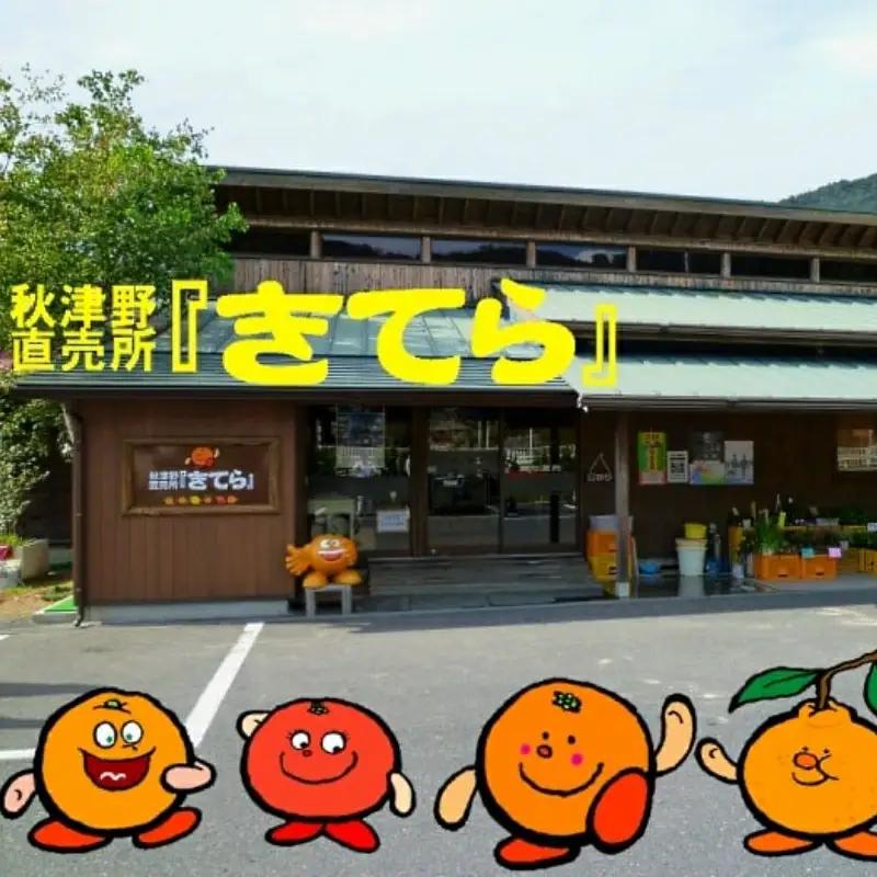 俺ん家の梅ジュース500ml×3本セット / 和歌山 和歌山県産 田辺市 紀州南高梅 南高梅 梅 梅ジュース なつかしい【ktr007-3】